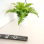 Bege Smartspace Apartamento *