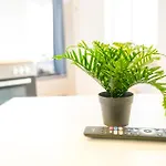 Bege Smartspace * Niederdorla